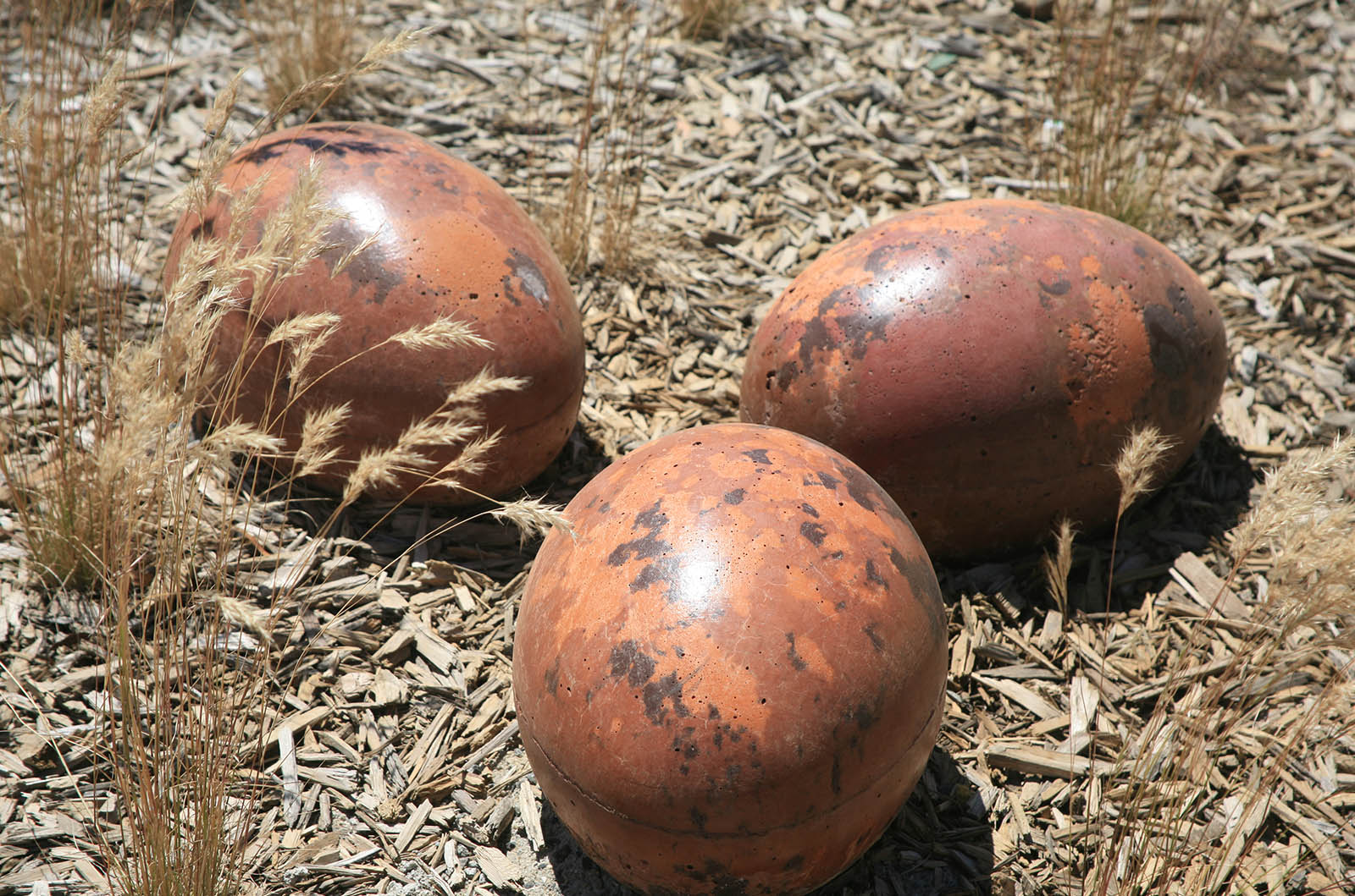 Customs_0002_Polished concrete eggs!