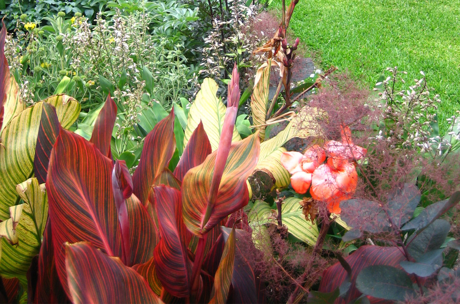 Perennial Perfection_0002s_0002_Allen 3
